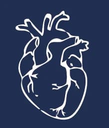 Heart, drawn in white line on navy, from the back print