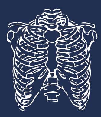 Ribcage, drawn in white line on navy, from the back print